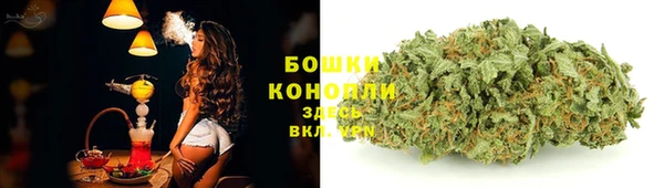 spice Мегион