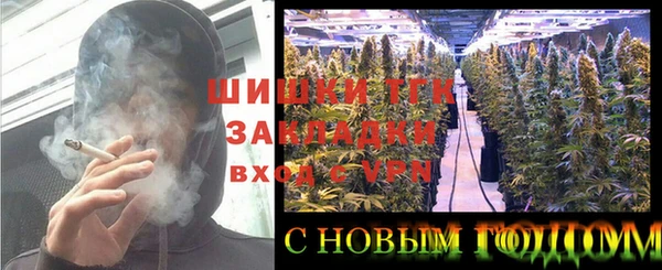 сатива Медвежьегорск