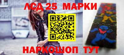 Альфа ПВП Гатчина