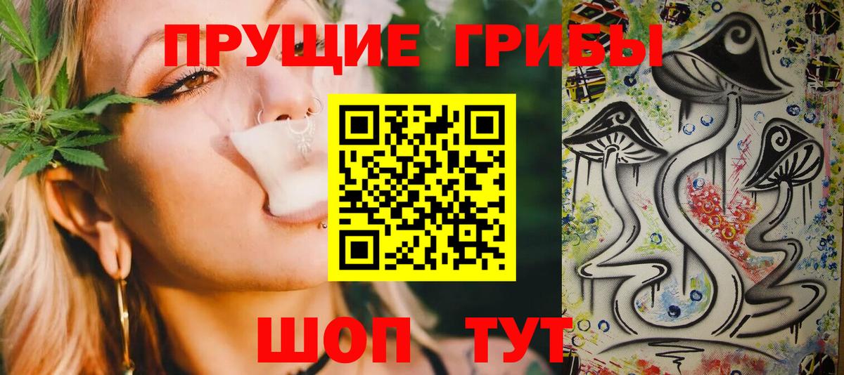 Псилоцибиновые грибы Cubensis Еманжелинск